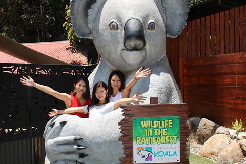 Kuranda Koala Gardens And Birdworld Admission Tickets - Accommodation Mermaid Beach 3