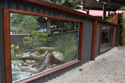 Kuranda Koala Gardens And Birdworld Admission Tickets - Accommodation Mermaid Beach 4