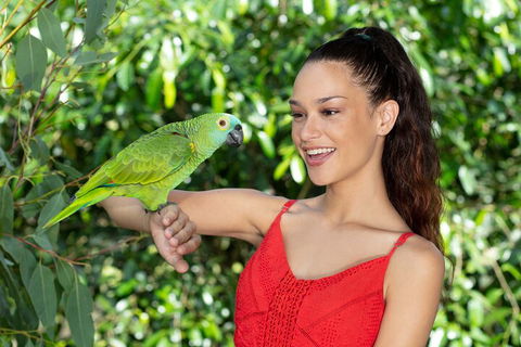 Kuranda Wildlife Experience Three Attraction Pass - Accommodation Mermaid Beach 1