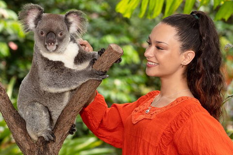 Kuranda Wildlife Experience Three Attraction Pass - Accommodation Mermaid Beach 4