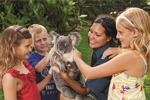 Kuranda Koala Gardens General Entry Ticket - Accommodation Mermaid Beach 0