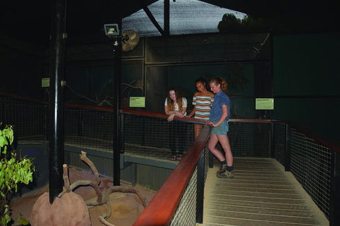 Kuranda Koala Gardens General Entry Ticket - Accommodation Mermaid Beach 2