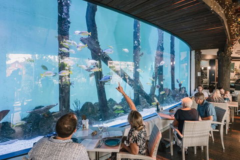 Cairns Aquarium Tour By Twilight With Drink And Appetiser - Accommodation Mermaid Beach 3