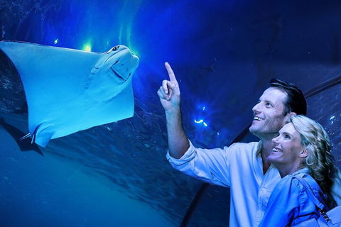 Cairns Aquarium Tour By Twilight With Drink And Appetiser - Accommodation Mermaid Beach 4