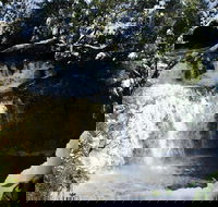 Cradle Mountain Day Tour from Launceston Including Lunch - Accommodation Mermaid Beach