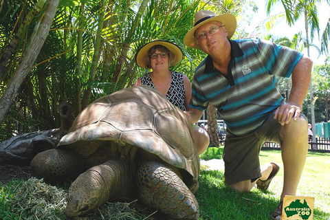 Small-Group Australia Zoo Day Trip From Brisbane - Accommodation Mermaid Beach 1