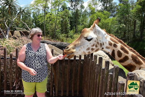 Small-Group Australia Zoo Day Trip From Brisbane - Accommodation Mermaid Beach 2