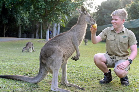 Small-Group Australia Zoo Day Trip From Brisbane - Accommodation Mermaid Beach 4