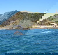 Kayaking with Dolphins in Byron Bay Guided Tour - Accommodation Mermaid Beach