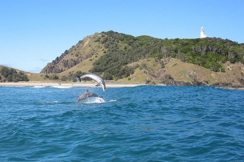 Kayaking With Dolphins In Byron Bay Guided Tour - Accommodation Mermaid Beach 0