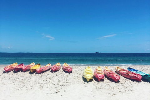 Kayaking With Dolphins In Byron Bay Guided Tour - Accommodation Mermaid Beach 1