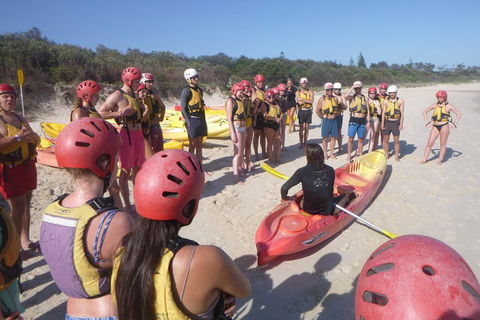 Kayaking With Dolphins In Byron Bay Guided Tour - Accommodation Mermaid Beach 2