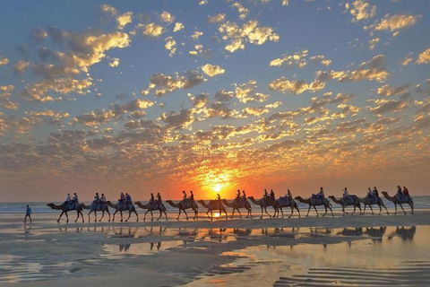 Broome City Sightseeing Tour With Optional Camel Ride - Accommodation Mermaid Beach 1