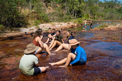 Litchfield National Park Waterfalls And Wildlife Tour From Darwin - Accommodation Mermaid Beach 1