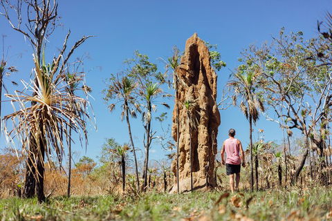 Litchfield National Park Waterfalls And Wildlife Tour From Darwin - Accommodation Mermaid Beach 4