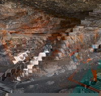 Kakadu National Park Wildlife and Ubirr Rock Art Tour from Darwin City - Accommodation Mermaid Beach