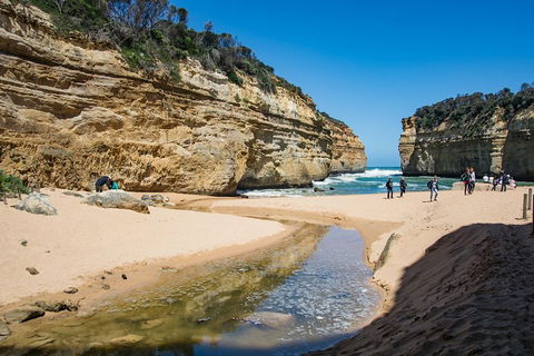 Great Ocean Road And 12 Apostles Day Trip From Melbourne - Accommodation Mermaid Beach 2