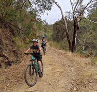 Mount Lofty Descent Bike Tour from Adelaide - Accommodation Mermaid Beach