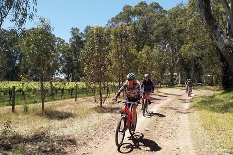 McLaren Vale Wine Tour By Bike - Accommodation Mermaid Beach 1