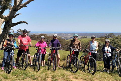 McLaren Vale Wine Tour By Bike - Accommodation Mermaid Beach 2