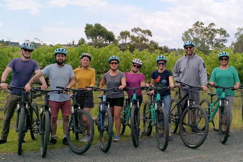 McLaren Vale Wine Tour By Bike - Accommodation Mermaid Beach 4