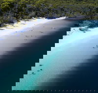All-Inclusive Fraser Island Day Tour - Accommodation Mermaid Beach