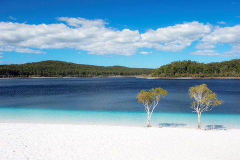 All-Inclusive Fraser Island Day Tour - Accommodation Mermaid Beach 3
