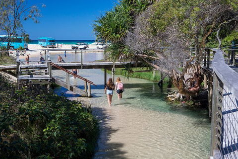 All-Inclusive Fraser Island Day Tour - Accommodation Mermaid Beach 4