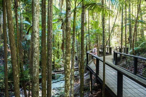 All-Inclusive Fraser Island Day Tour - Accommodation Mermaid Beach 5