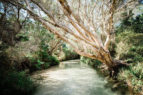 3-Day Fraser Island Resort Package - Accommodation Mermaid Beach 5