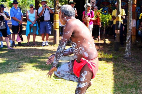 Tiwi By Design Day Tour - Accommodation Mermaid Beach 5