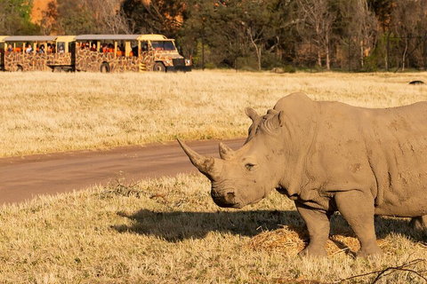 Sunset Safari At Werribee Open Range Zoo - Accommodation Mermaid Beach 1