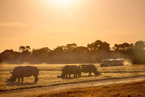 Sunset Safari At Werribee Open Range Zoo - Accommodation Mermaid Beach 2