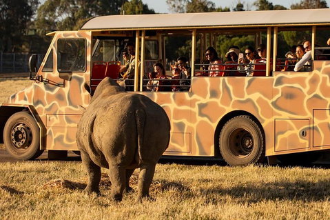 Sunset Safari At Werribee Open Range Zoo - Accommodation Mermaid Beach 5