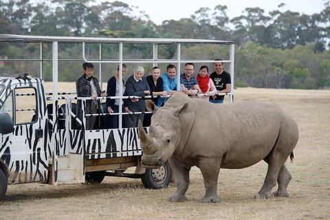 Off-Road Safari At Werribee Open Range Zoo - Accommodation Mermaid Beach 0
