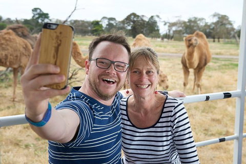 Off-Road Safari At Werribee Open Range Zoo - Accommodation Mermaid Beach 1