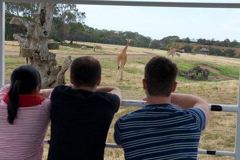 Off-Road Safari At Werribee Open Range Zoo - Accommodation Mermaid Beach 4