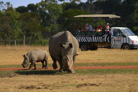 Off-Road Safari At Werribee Open Range Zoo - Accommodation Mermaid Beach 5