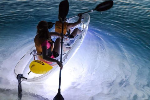 2-Day Moreton Island Tour From Brisbane Or Gold Coast With Optional Nighttime Kayaking - Accommodation Mermaid Beach 0