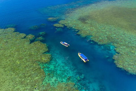 Great Barrier Reef Scenic Flight And Ocean Rafting Whitehaven Beach Day Trip - Accommodation Mermaid Beach 4