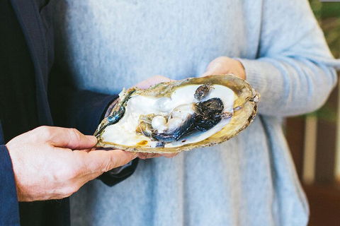 Half-Day Willie Creek Pearl Farm Tour With Helicopter Flight - Accommodation Mermaid Beach 3