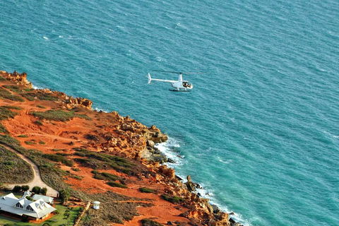 Half-Day Willie Creek Pearl Farm Tour With Helicopter Flight - Accommodation Mermaid Beach 4