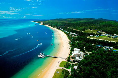 Tangalooma Island Resort Whale Watching Day Cruise - Accommodation Mermaid Beach 2