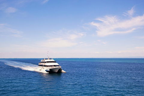 Tangalooma Island Resort Whale Watching Day Cruise - Accommodation Mermaid Beach 5