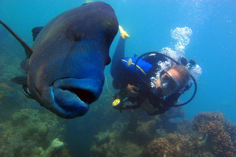 2 Night Whitsunday Islands Cruise On New Horizon From Airlie Beach - Accommodation Mermaid Beach 4