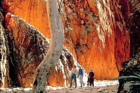 West MacDonnell Ranges Day Trip From Alice Springs - Accommodation Mermaid Beach 3
