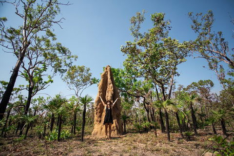 Litchfield National Park - Top End Day Tour From Darwin - Accommodation Mermaid Beach 5