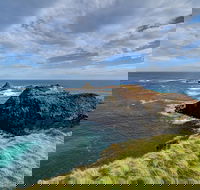 Small-Group Phillip Island Day Trip from Melbourne with Penguin Plus Viewing - Accommodation Mermaid Beach