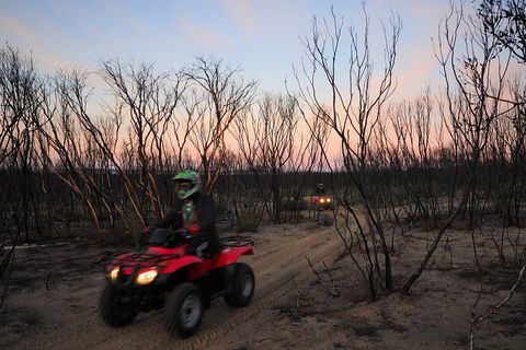 Kangaroo Island Quad Bike (ATV) Tours - Accommodation Mermaid Beach 1