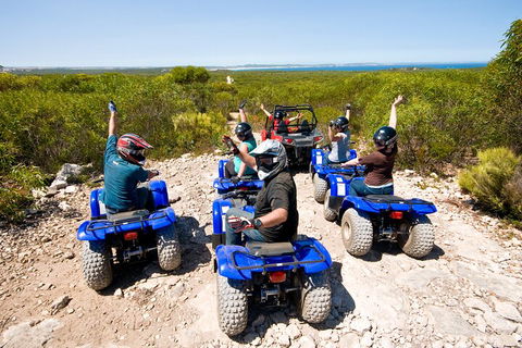 Kangaroo Island Quad Bike (ATV) Tours - Accommodation Mermaid Beach 3